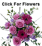 Essex Flowers